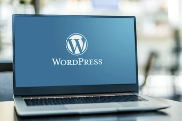 WordPress主题论坛-WordPress主题版块-WordPress-沐光橙香